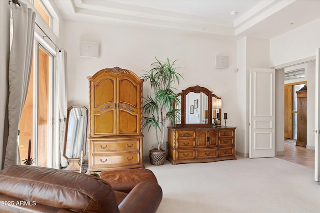 sitting room featuring light colored carpet