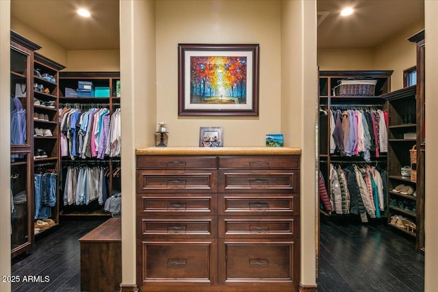 spacious closet featuring dark wood-style flooring