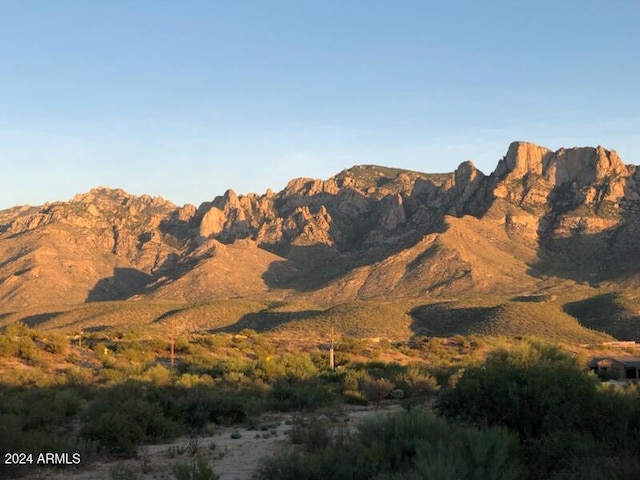 view of mountain feature