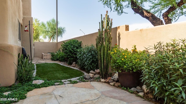 view of yard with a patio area