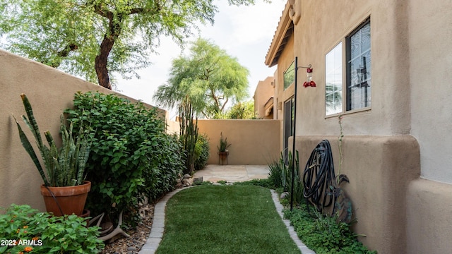 view of yard with a patio area