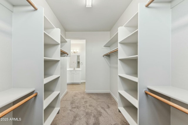 22343 S Manzanilla Rd, Buckeye, AZ 85326 - spacious closet featuring carpet floors