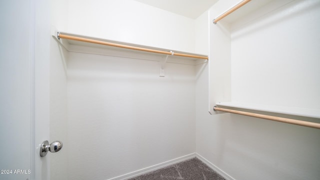 spacious closet featuring carpet