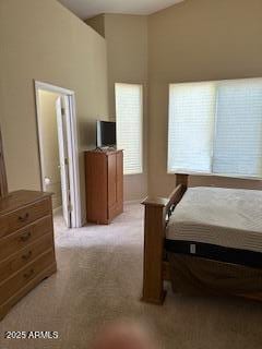 bedroom featuring light colored carpet