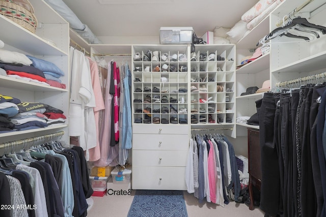 walk in closet with carpet flooring