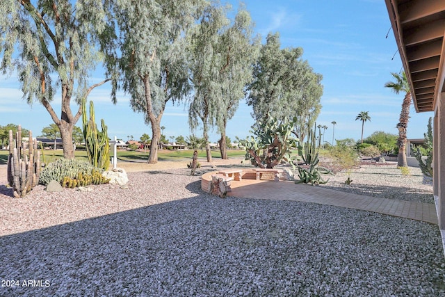 view of yard featuring a patio area