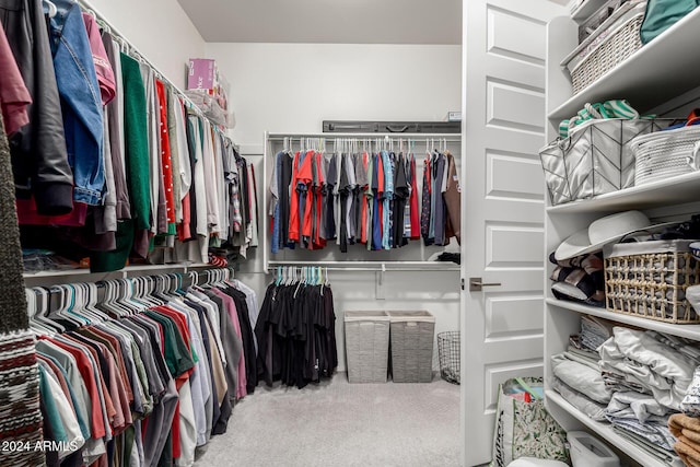 spacious closet with carpet