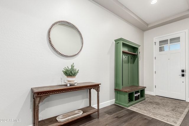 mudroom featuring dark hardwood / wood-style floors