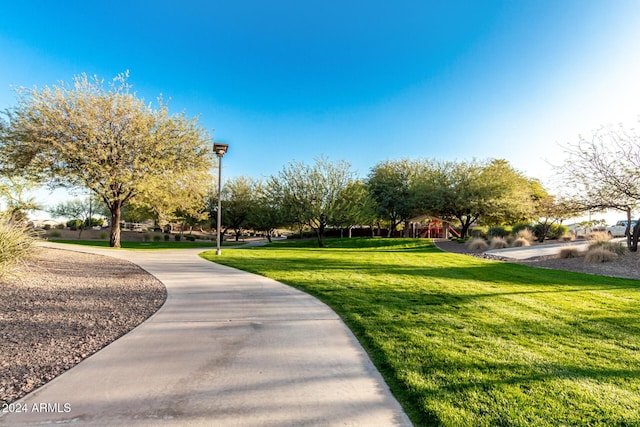 view of community featuring a yard