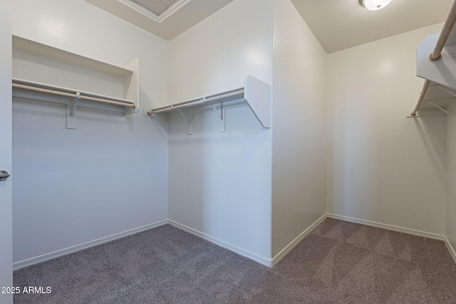 spacious closet featuring dark colored carpet