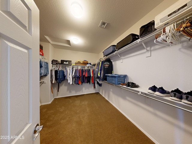 17547 W Gambit Trl, Surprise, AZ 85387 - walk in closet with dark colored carpet