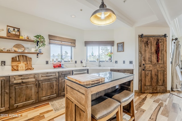 kitchen with a barn door, a sink, light countertops, light wood-type flooring, and dishwasher