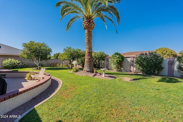 view of yard featuring a patio