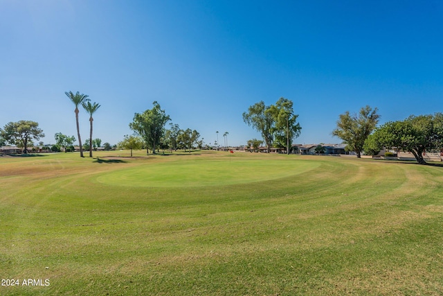 view of home's community featuring a yard