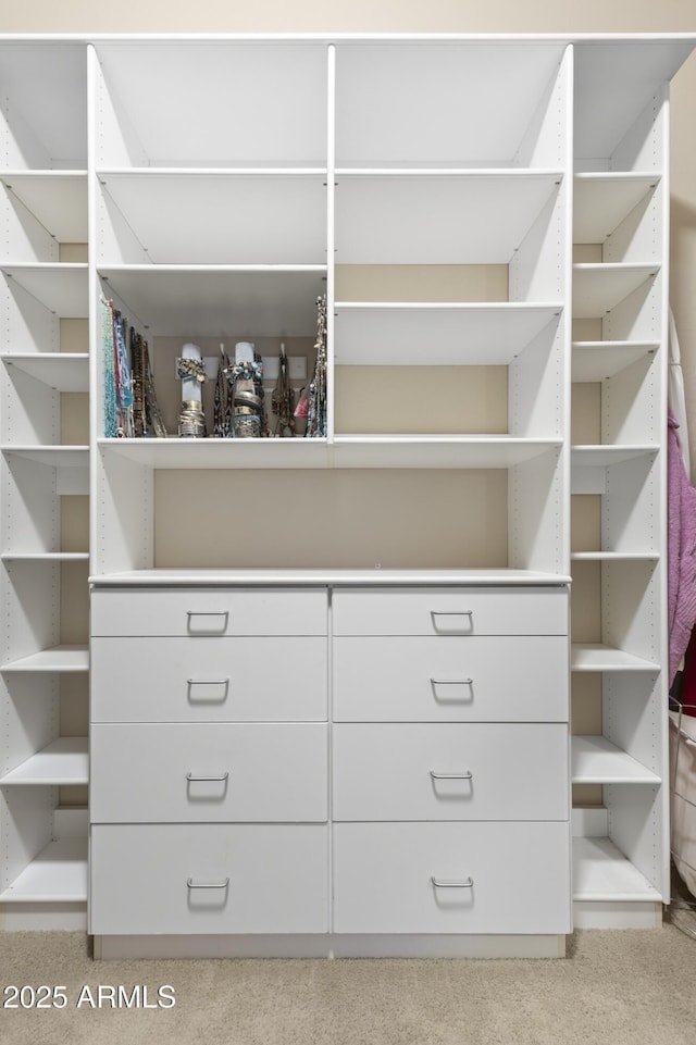 spacious closet with carpet flooring