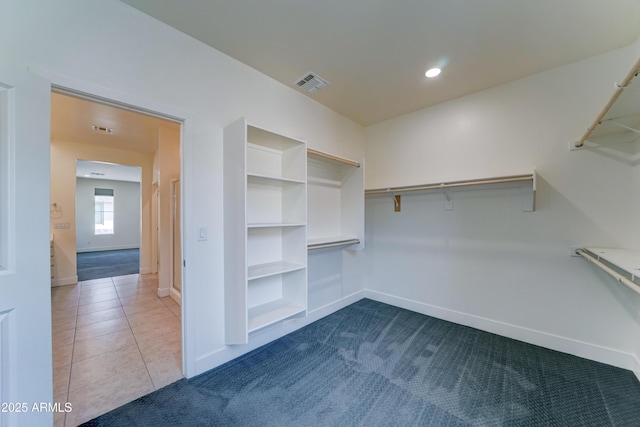 4927 S Tune, Mesa, AZ 85212 - walk in closet with carpet floors and tile patterned floors