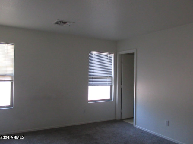 empty room featuring carpet flooring and plenty of natural light