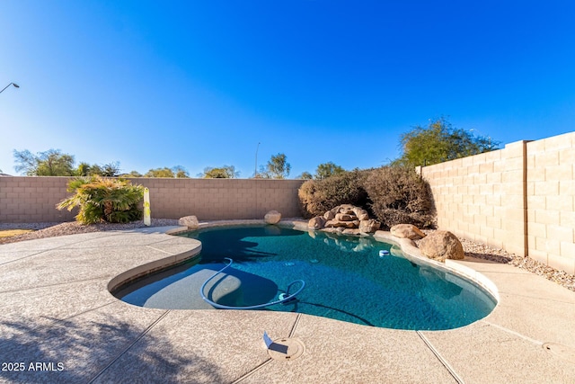 view of swimming pool