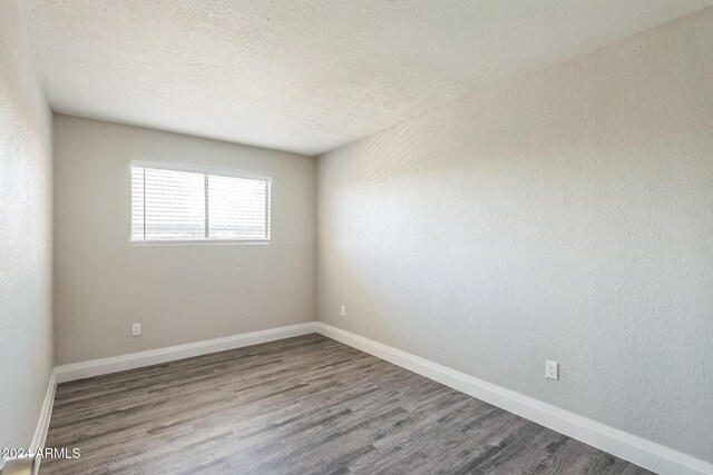 spare room featuring wood-type flooring