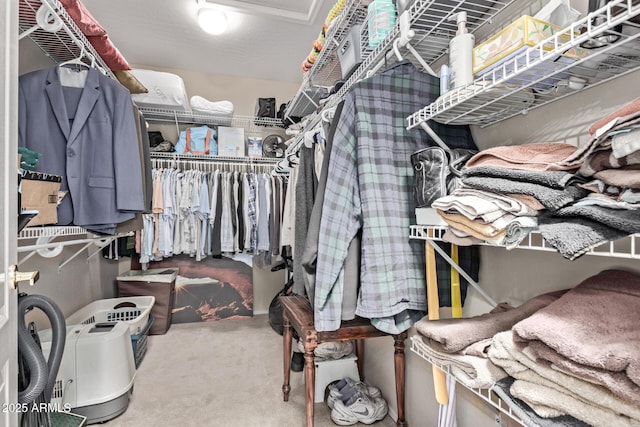 walk in closet with carpet floors