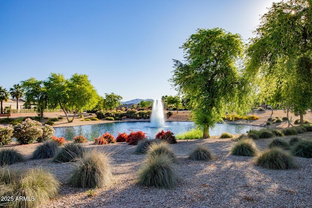 view of property's community featuring a water view