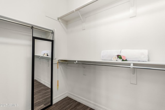 walk in closet featuring dark wood finished floors