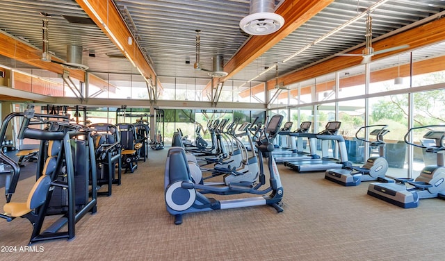 exercise room with plenty of natural light and carpet flooring