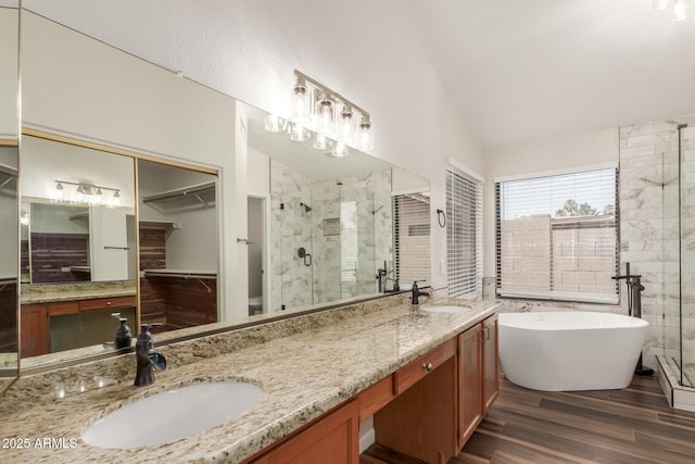 869 W Emerald Island Dr, Gilbert, AZ 85233 - full bath with a shower stall, a freestanding bath, wood finished floors, vaulted ceiling, and double vanity