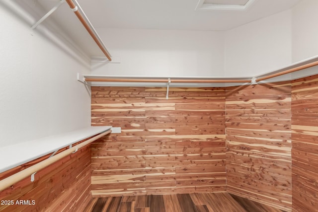 869 W Emerald Island Dr, Gilbert, AZ 85233 - view of walk in closet