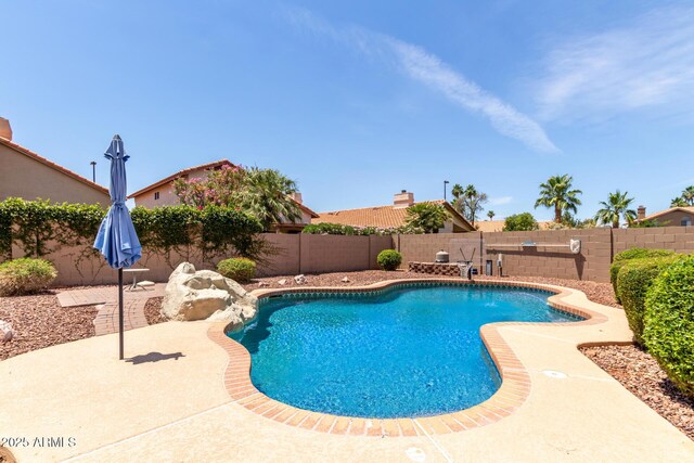 869 W Emerald Island Dr, Gilbert, AZ 85233 - view of pool featuring a fenced backyard and a patio