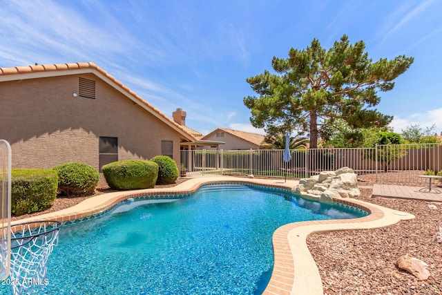 869 W Emerald Island Dr, Gilbert, AZ 85233 - view of pool