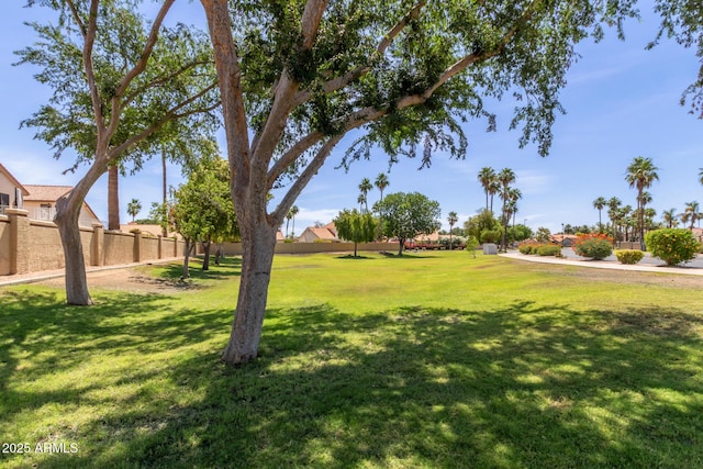 869 W Emerald Island Dr, Gilbert, AZ 85233 - view of yard