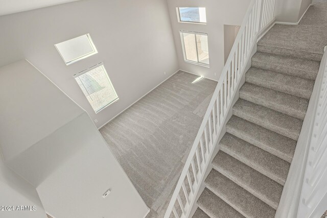 stairway featuring carpet floors and a skylight