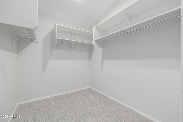 spacious closet with carpet
