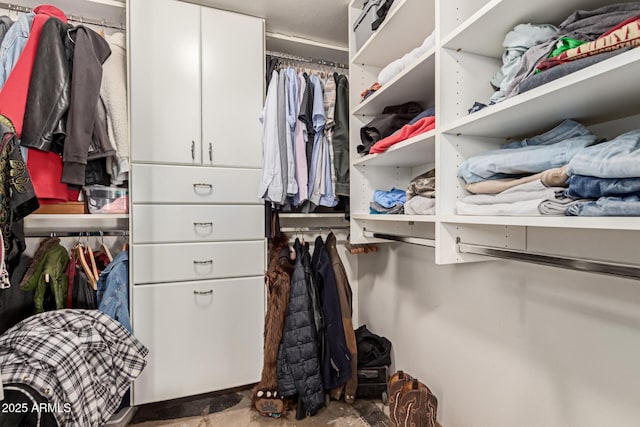 view of spacious closet