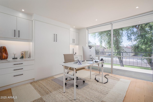 office area featuring expansive windows and light hardwood / wood-style floors