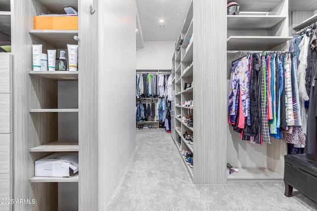 walk in closet with carpet flooring