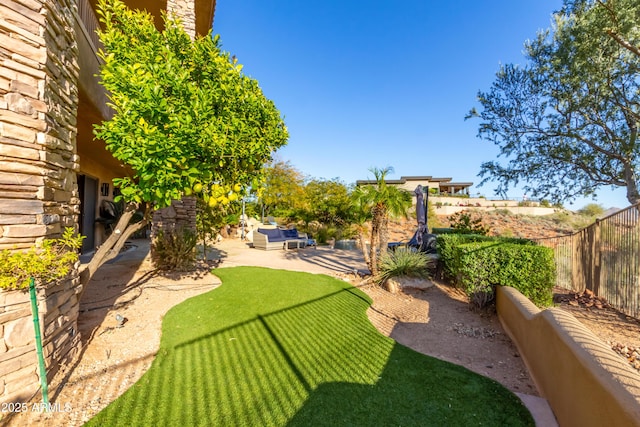 view of yard featuring a fenced backyard, an outdoor hangout area, and a patio