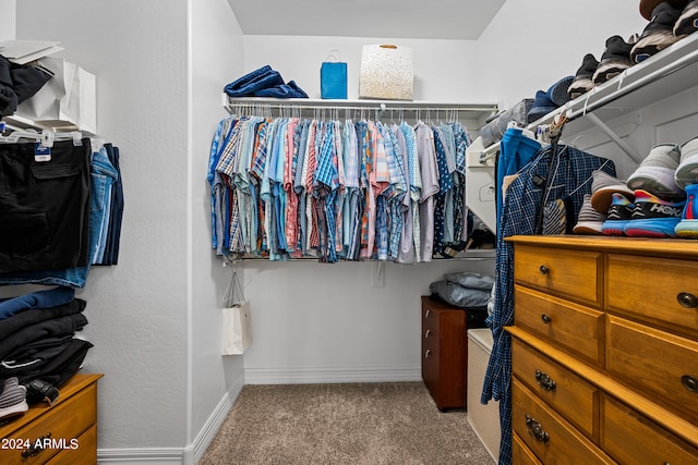 spacious closet featuring carpet