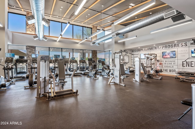 workout area with a towering ceiling