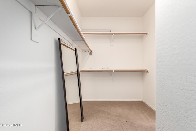 spacious closet with light colored carpet