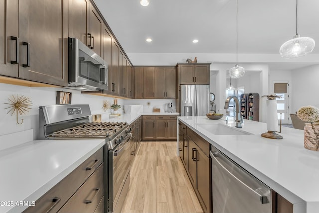 kitchen featuring pendant lighting, light hardwood / wood-style flooring, sink, stainless steel appliances, and dark brown cabinetry