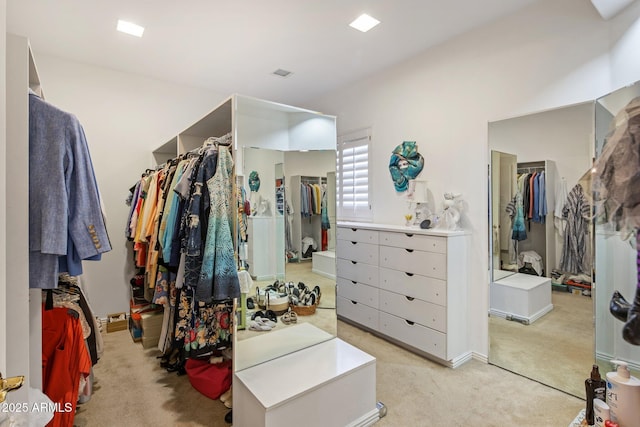 11809 S Montezuma Ct, Phoenix, AZ 85044 - walk in closet with light carpet