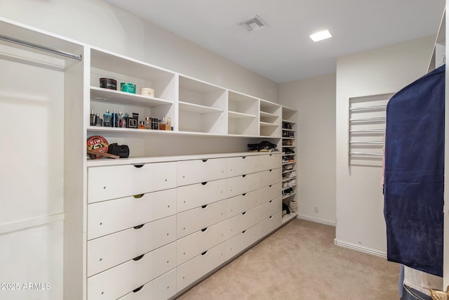 11809 S Montezuma Ct, Phoenix, AZ 85044 - spacious closet with light colored carpet