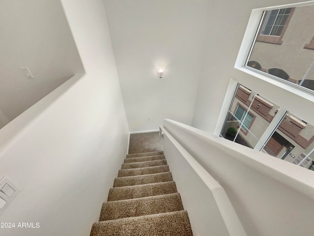 stairs with carpet flooring