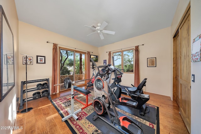 exercise room featuring light hardwood / wood-style flooring and ceiling fan