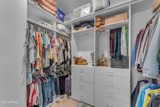 spacious closet with carpet