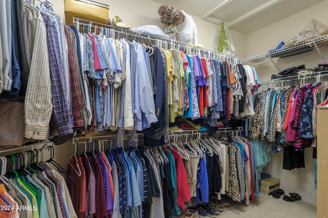 walk in closet with carpet flooring