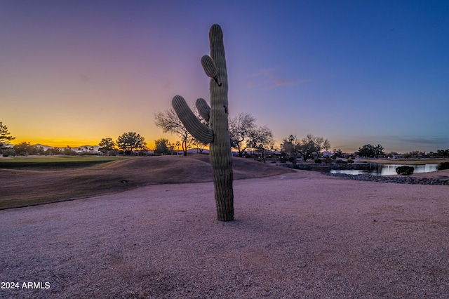 view of yard at dusk