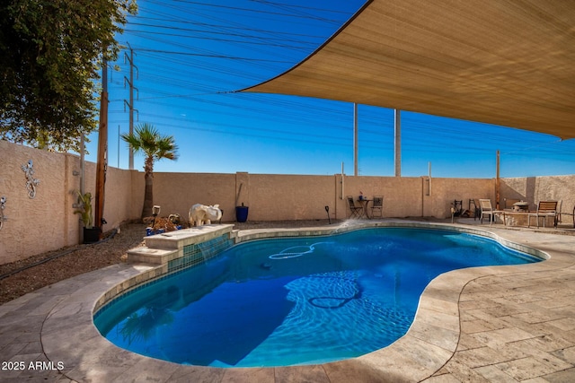 view of pool with a patio area